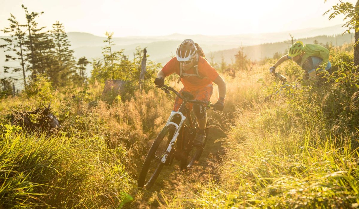 Mountainbike & Radfahren