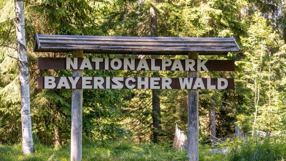 Nationalpark Bayerischer Wald